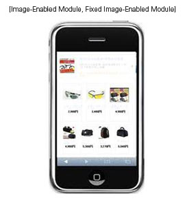 Image-Enabled Module, Fixed Image-Enabled Module
